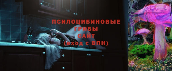 первитин Ладушкин