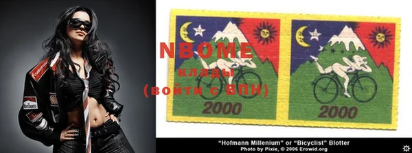 ГАЛЛЮЦИНОГЕННЫЕ ГРИБЫ Лагань